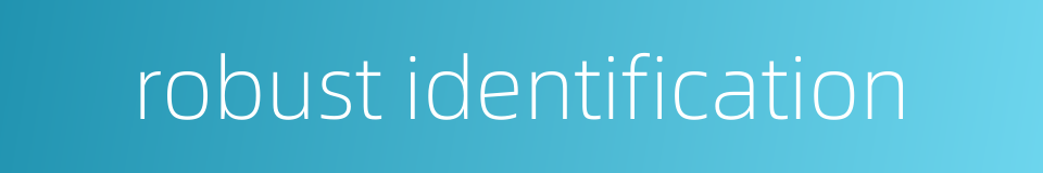 robust identification的同义词