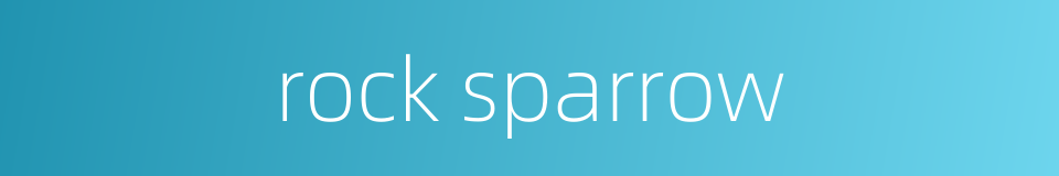 rock sparrow的同义词