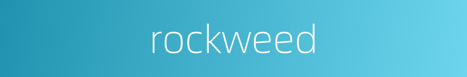 rockweed的同义词