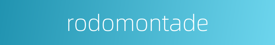 rodomontade的同义词
