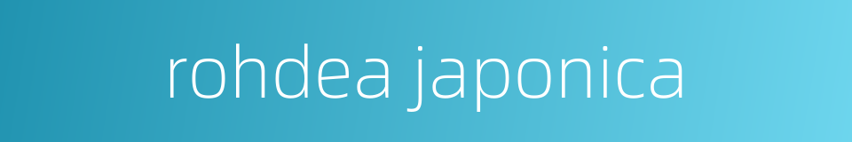 rohdea japonica的同义词