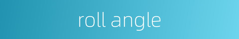 roll angle的同义词