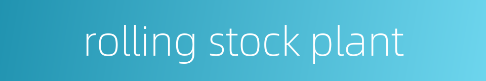 rolling stock plant的同义词
