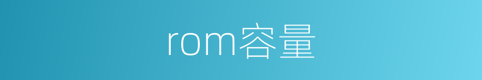 rom容量的同义词