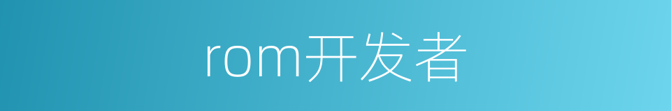 rom开发者的同义词