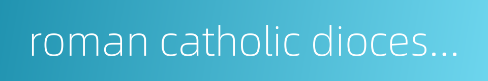 roman catholic diocese of xianxian的同义词