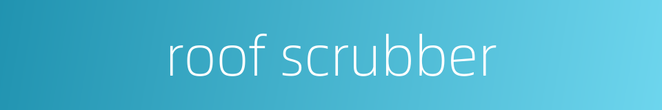 roof scrubber的同义词