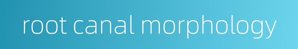 root canal morphology的同义词