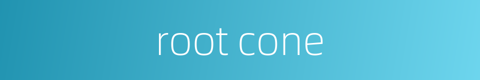 root cone的同义词