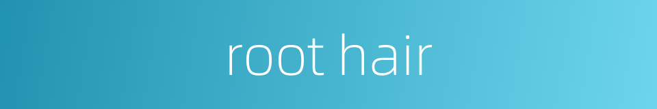 root hair的同义词