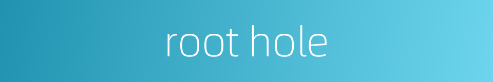 root hole的同义词