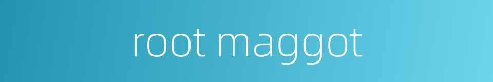 root maggot的同义词