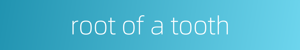 root of a tooth的同义词