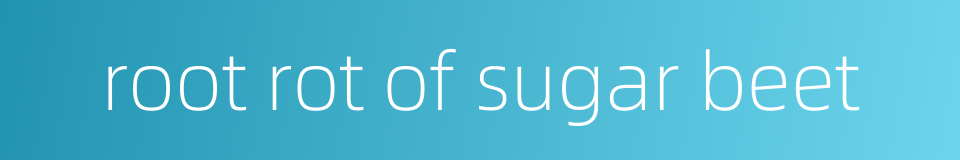 root rot of sugar beet的同义词