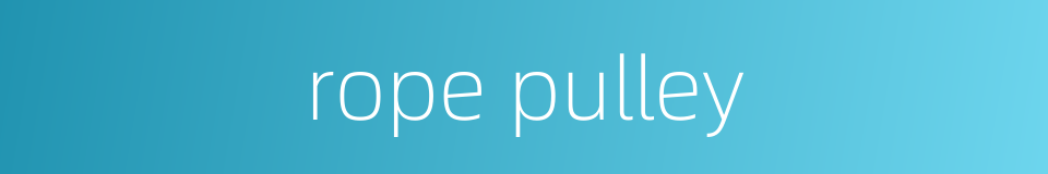 rope pulley的同义词