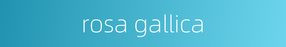 rosa gallica的同义词