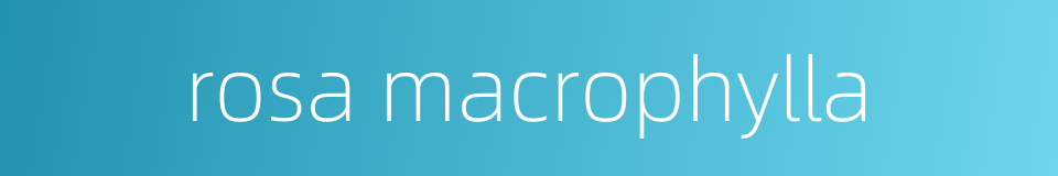 rosa macrophylla的同义词