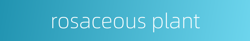 rosaceous plant的同义词
