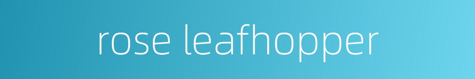 rose leafhopper的同义词