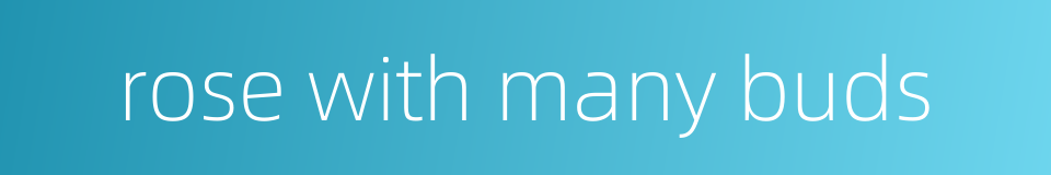 rose with many buds的同义词