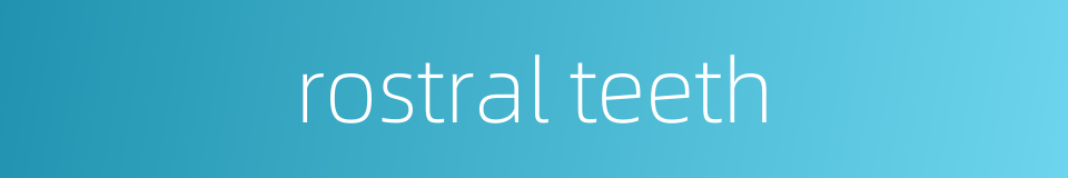 rostral teeth的同义词
