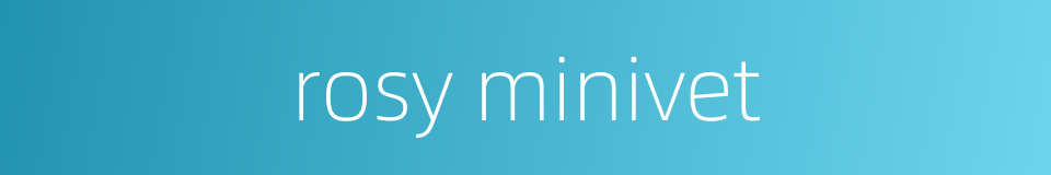 rosy minivet的同义词
