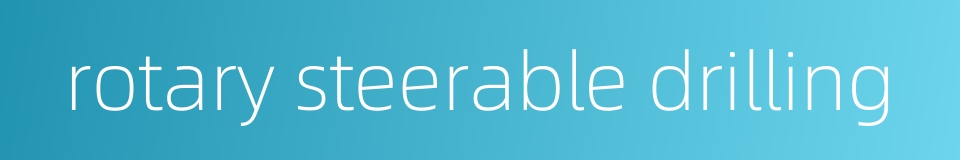 rotary steerable drilling的同义词