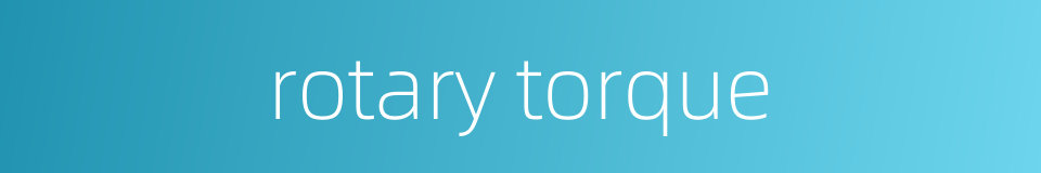 rotary torque的同义词
