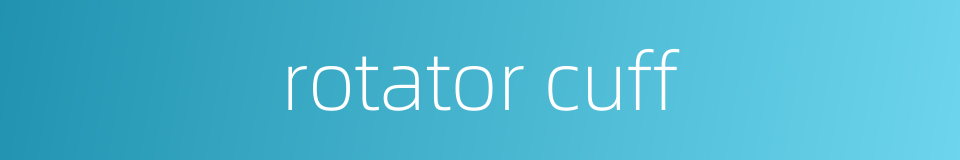 rotator cuff的同义词