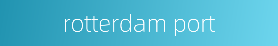 rotterdam port的同义词