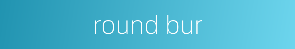 round bur的同义词