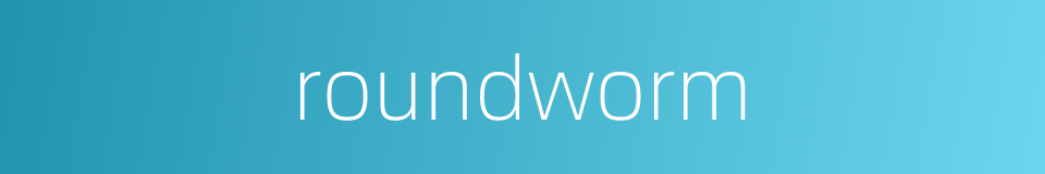 roundworm的同义词