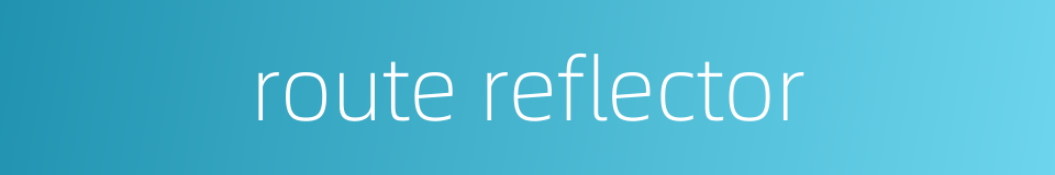 route reflector的同义词