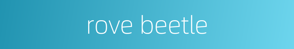 rove beetle的同义词