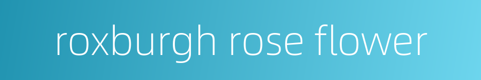 roxburgh rose flower的同义词