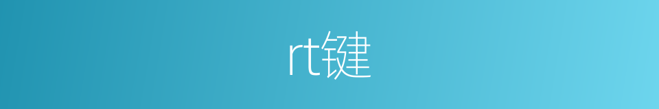 rt键的同义词