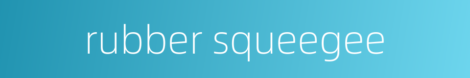 rubber squeegee的同义词