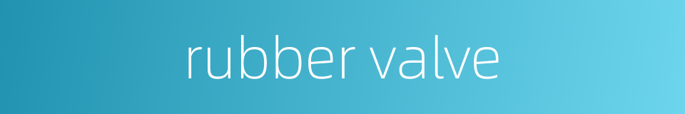 rubber valve的同义词