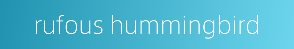 rufous hummingbird的同义词