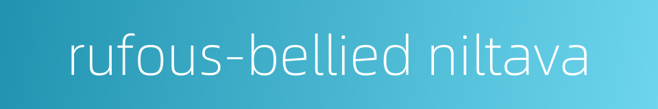 rufous-bellied niltava的同义词