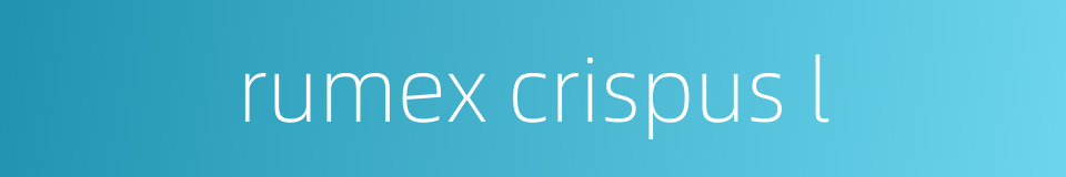 rumex crispus l的同义词