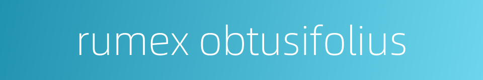 rumex obtusifolius的同义词