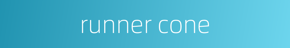 runner cone的同义词