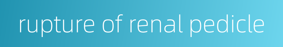 rupture of renal pedicle的同义词