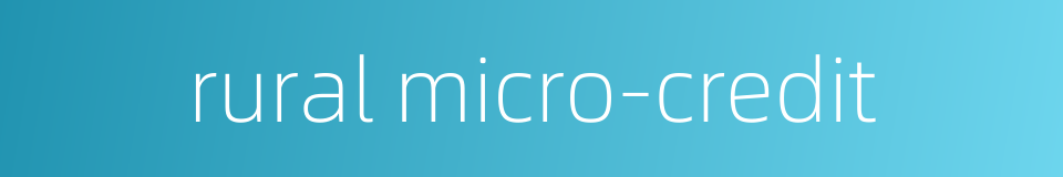 rural micro-credit的同义词