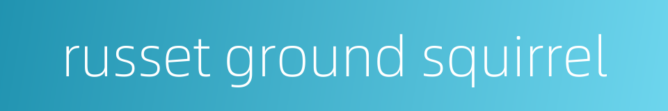 russet ground squirrel的同义词