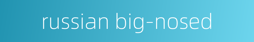 russian big-nosed的同义词