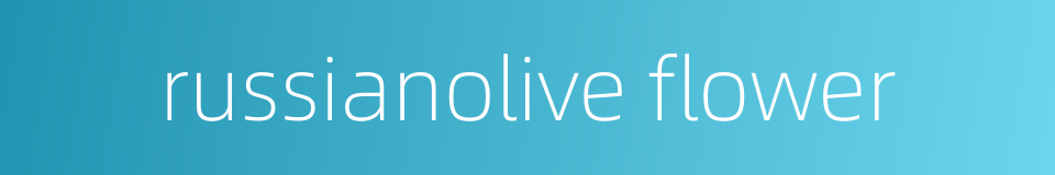 russianolive flower的同义词