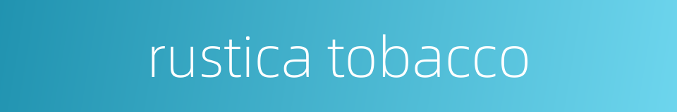 rustica tobacco的同义词