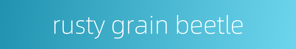 rusty grain beetle的同义词